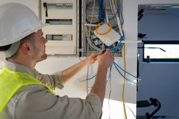 Best Ceiling Fan Installation Electrician  in Carrizo Springs, TX